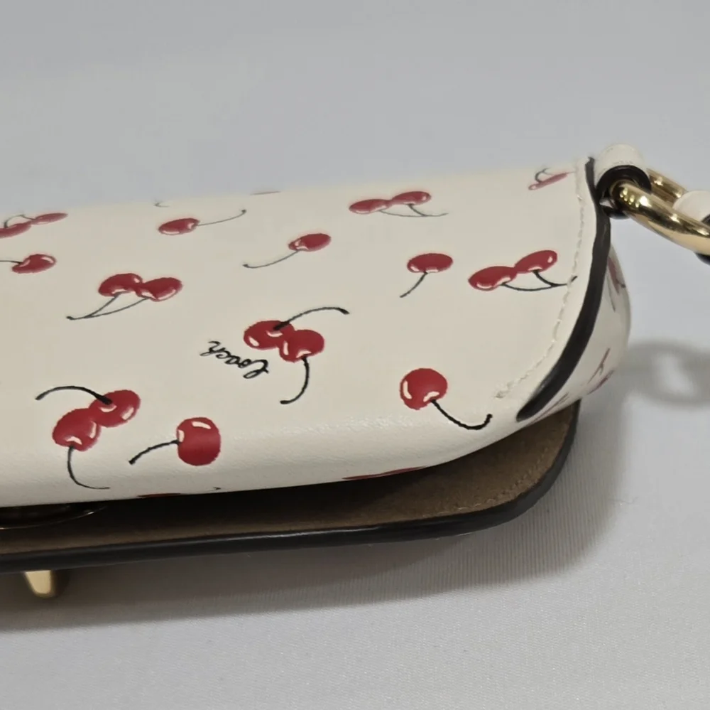 Coach Sunglass Case With Cherry Print